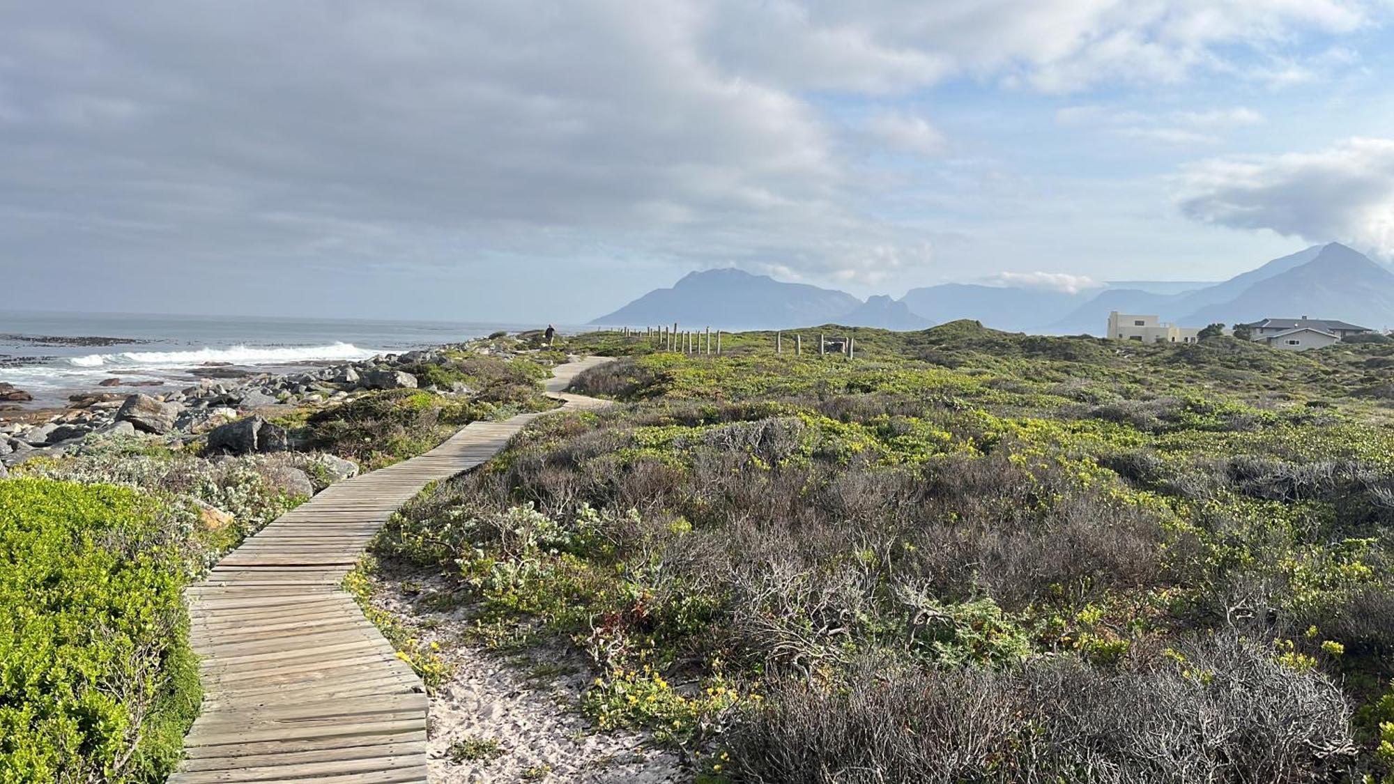 Storyhouse In Kommetjie Kültér fotó