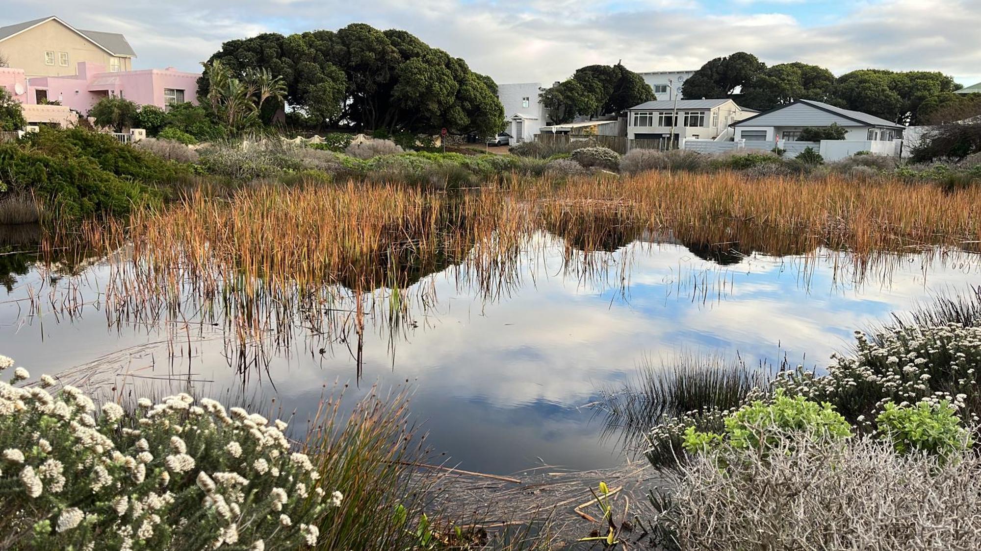 Storyhouse In Kommetjie Kültér fotó
